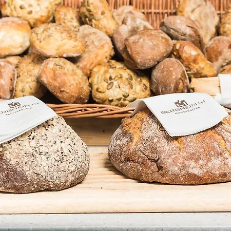 Bergheim 41 Im Alten Hallenbad Heidelberg